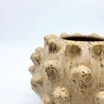 Load image into Gallery viewer, Protection Vase (round)
