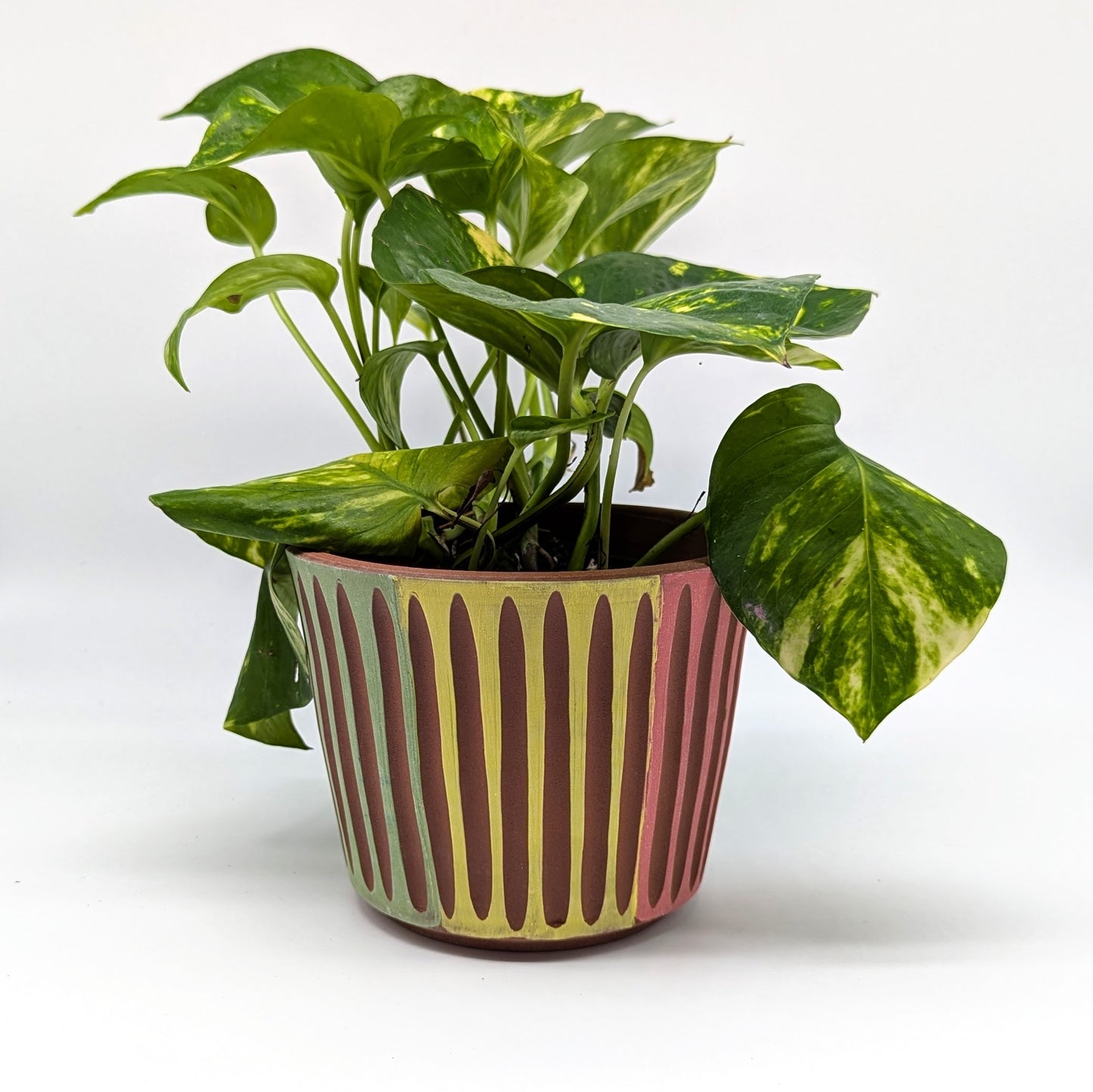 Measured Exuberance Planters