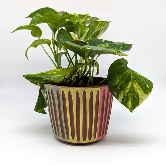 Measured Exuberance Planters