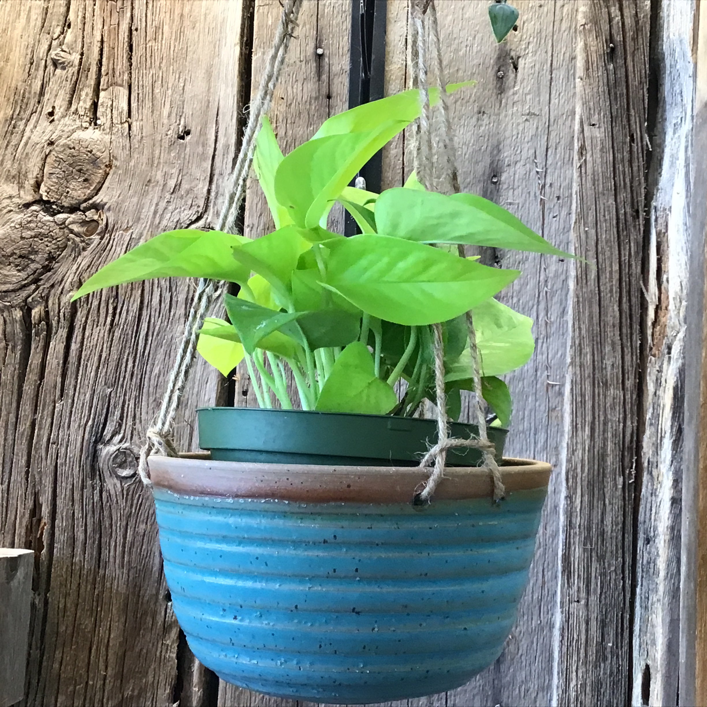 Hanging Planter