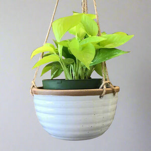 Hanging Planter