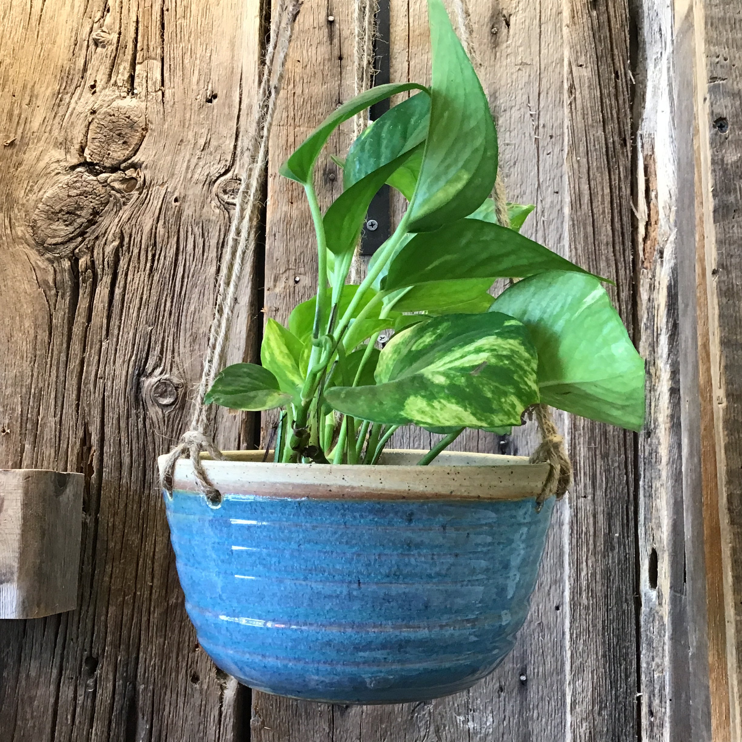 Hanging Planter