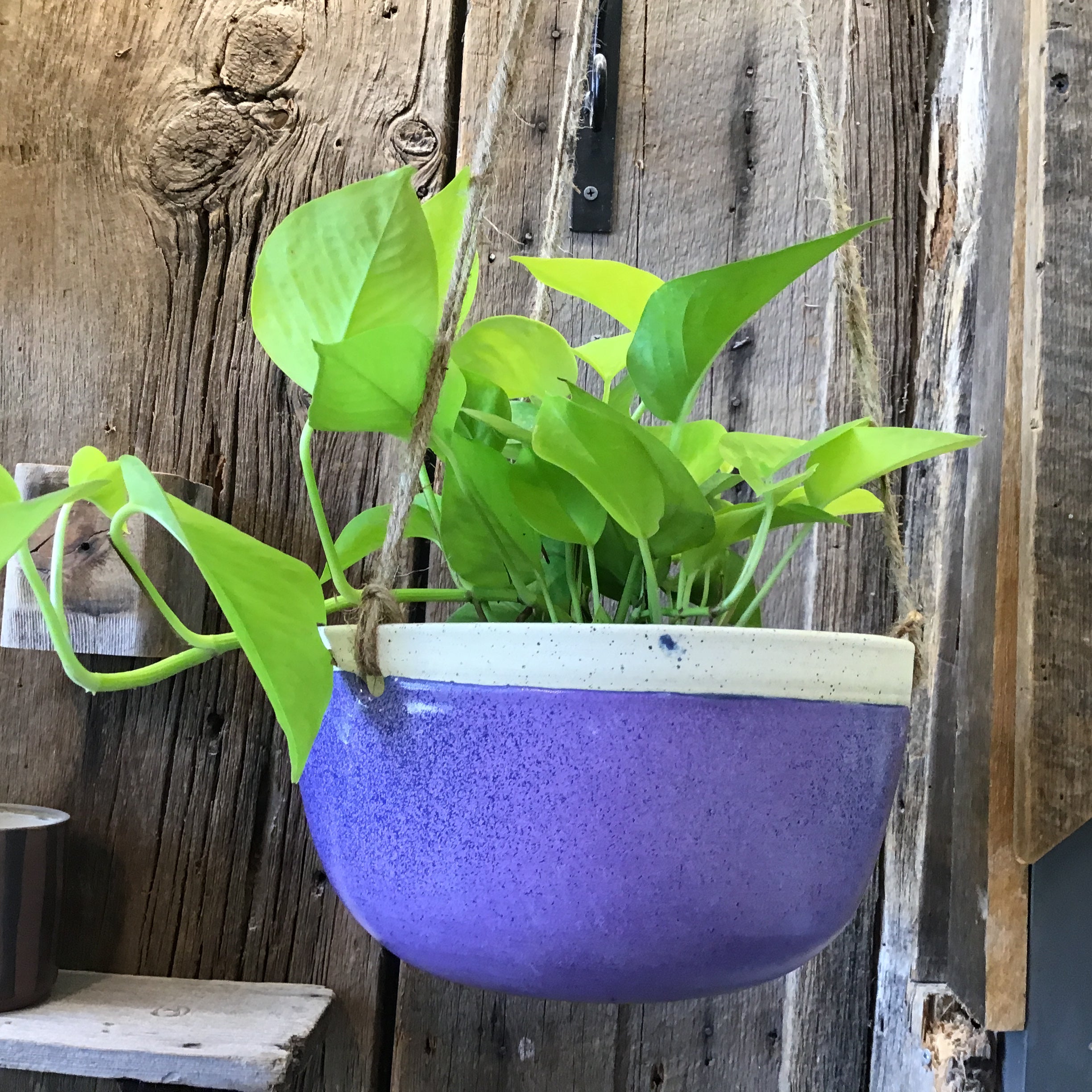 Hanging Planter