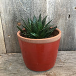 Load image into Gallery viewer, Planter (Perfect)

