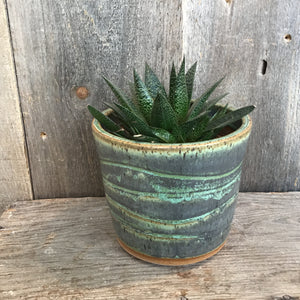 Planter (Perfect)