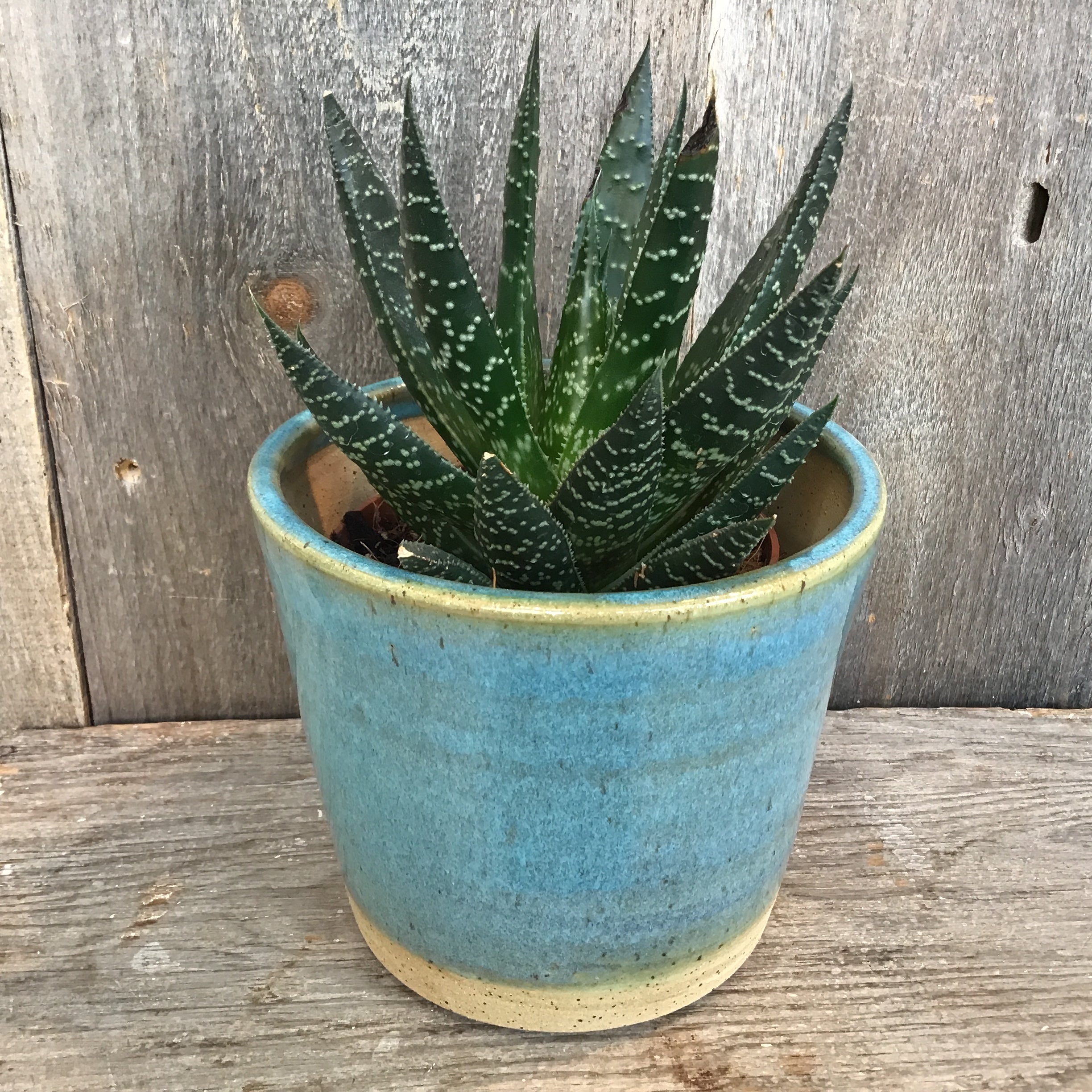 Planter (Perfect)