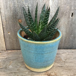 Load image into Gallery viewer, Planter (Perfect)
