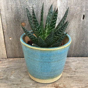 Planter (Perfect)