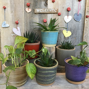 Planter (Perfect)