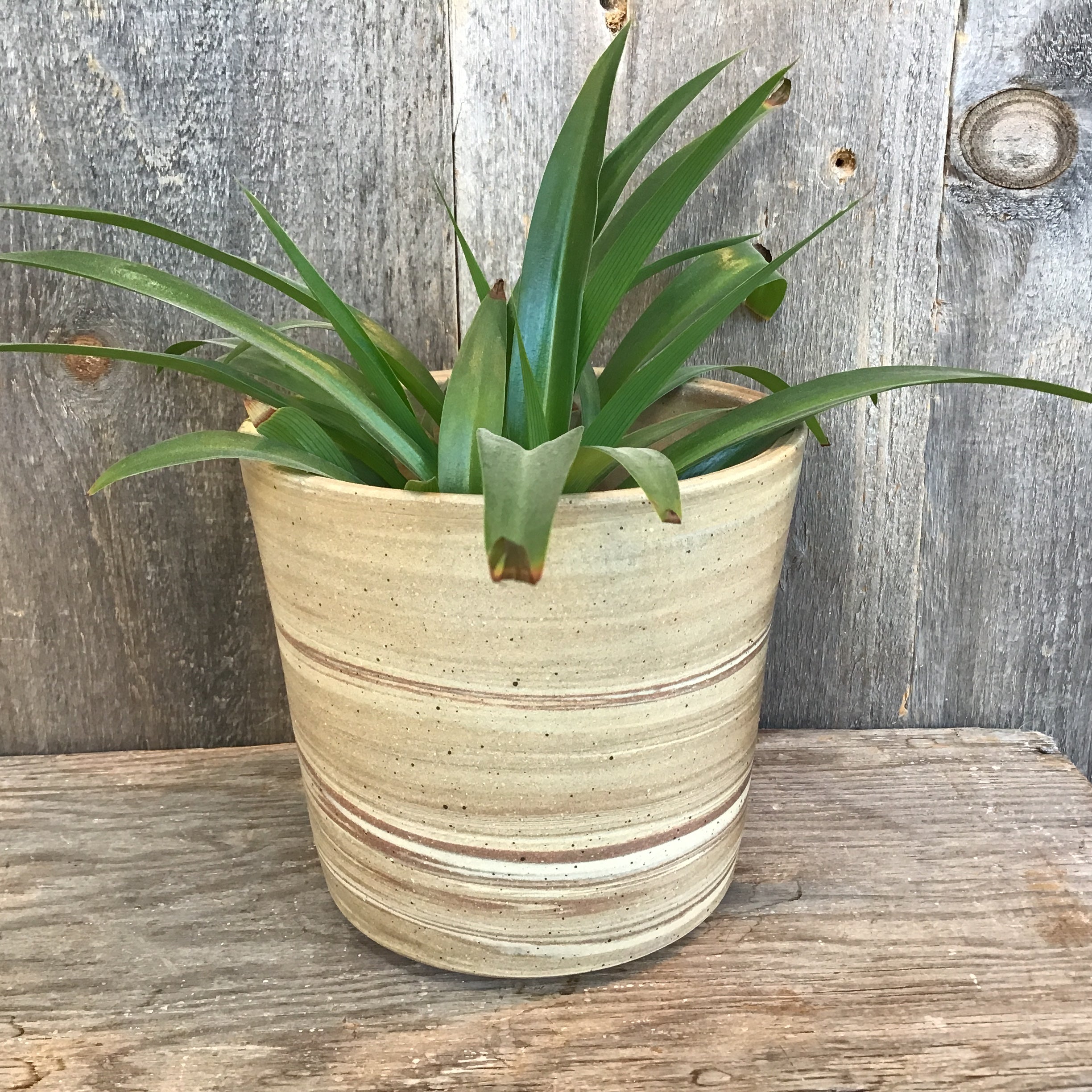 Planter (Perfect)