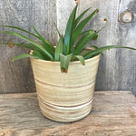Load image into Gallery viewer, Planter (Perfect)
