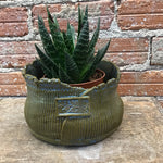 Load image into Gallery viewer, In shop: Funky planters

