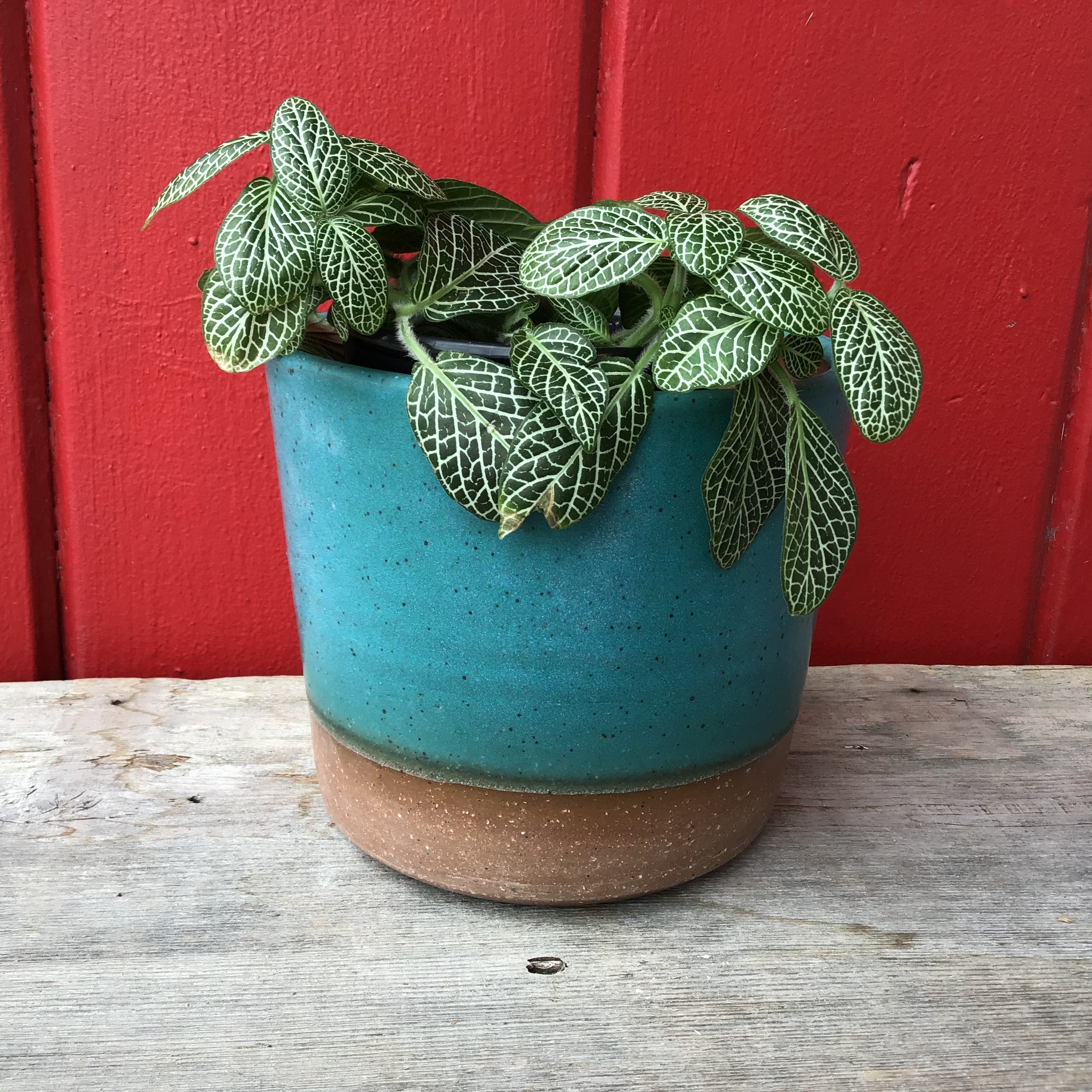 Planter (Perfect)