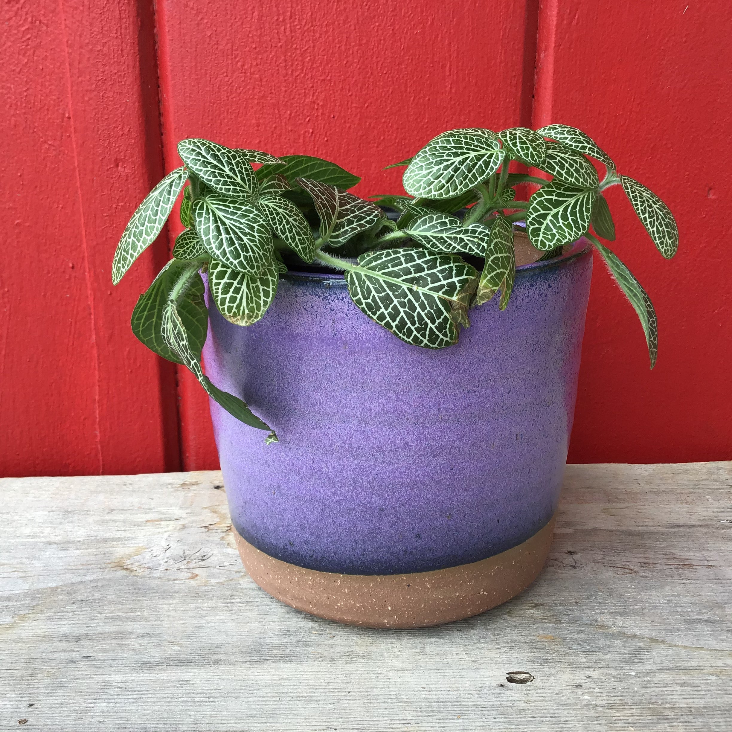 Planter (Perfect)